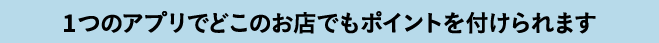 1つのアプリでどこのお店でもポイントを付けられます
